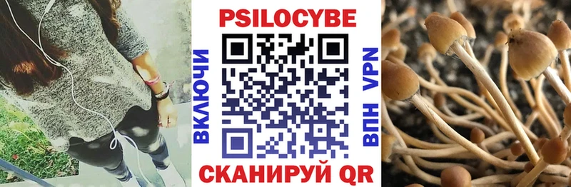 Псилоцибиновые грибы Cubensis  blacksprut зеркало  Семикаракорск 